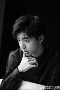 王俊图片大全,捕捉明星风采的瞬间